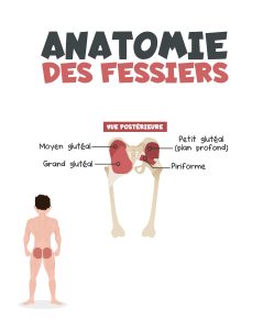 Comment muscler ses fessiers ?