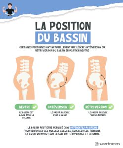 La position du bassin et ses mouvements
