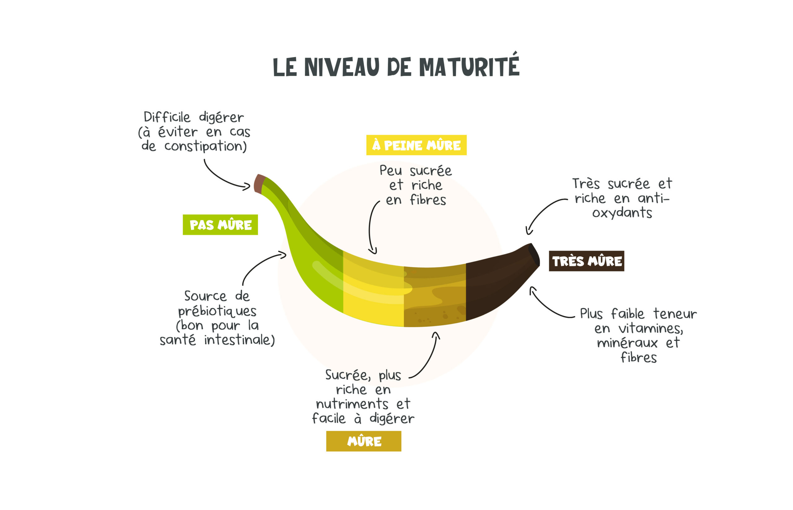 La banane, un super aliment pour l&rsquo;entraînement : bienfaits, astuces et recette