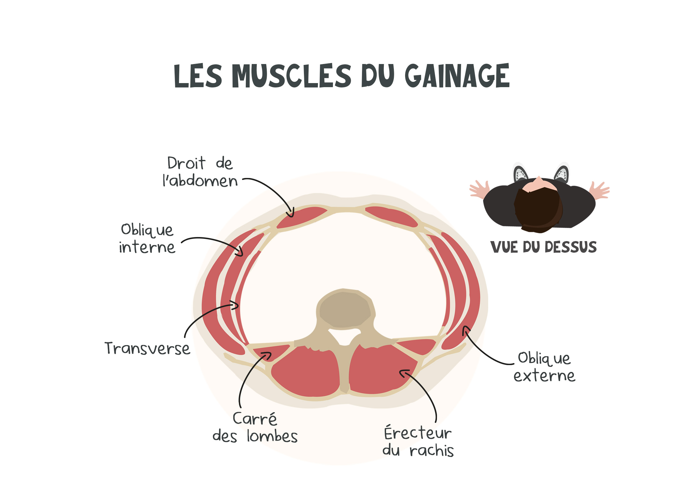 Gainage et ventre plat