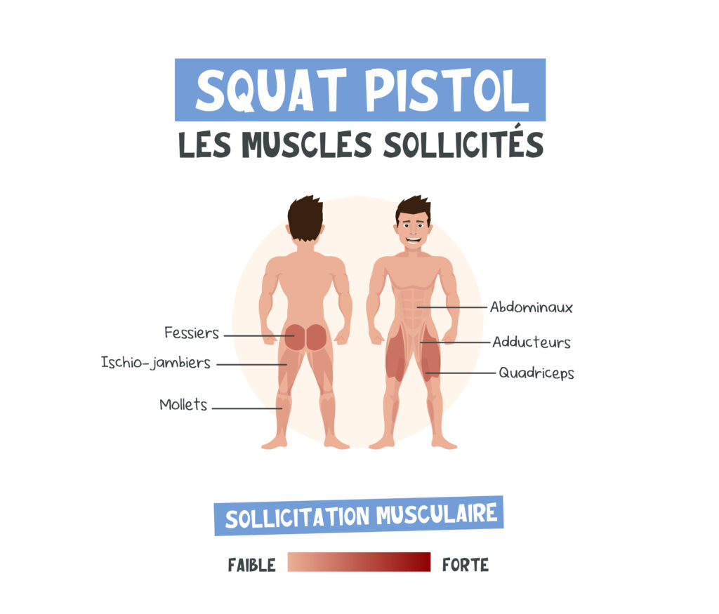 Less muscles sollicités lors du squat pistol à une jambe